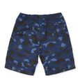 Color Camo Beach Shorts