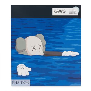 Kaws - Contemporary Artists Series
